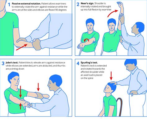 testing for shoulder girdle tears|shoulder pain screening procedure.